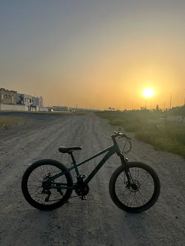 mountain bike