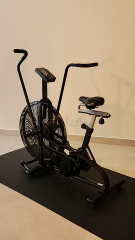 🚴‍♂️ Assault AirBike Classic