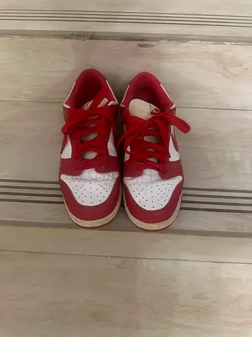 Nike dunks red size 44