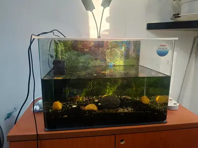 Used 40-50L Aquarium Tank with Filter and Light