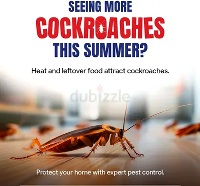 Seeing more cockroaches this summer heat and leftover food attracts pests