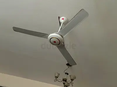 Ceilling Fan