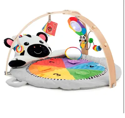 Baby Einstein Play Mat