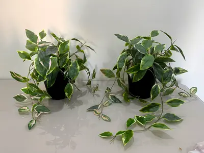 Artificial plant for decoration