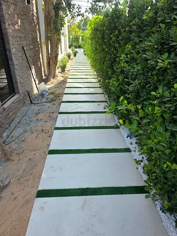 Tile removing and new apply