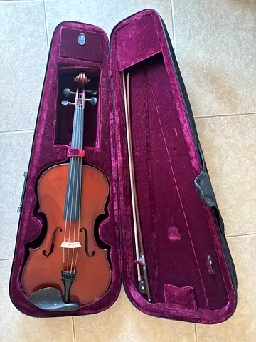 Viola for sale