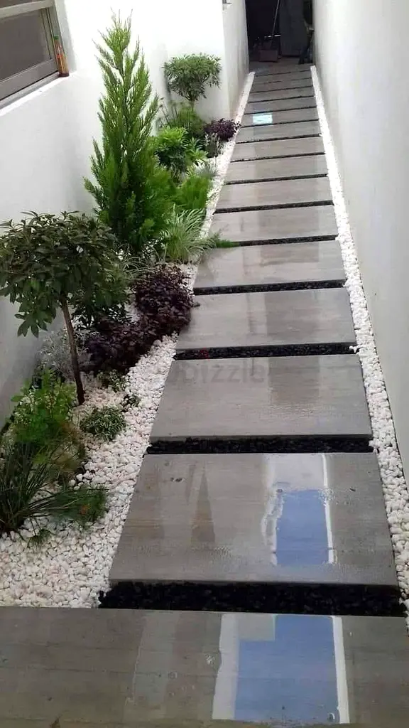 DPV_View_Image_2