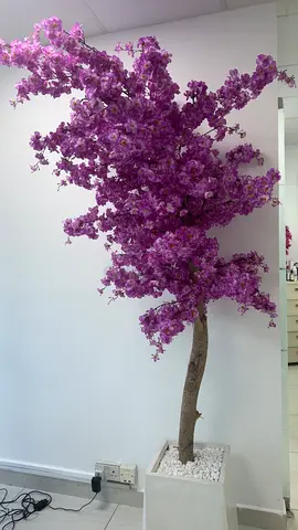 Decoration