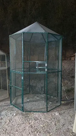 Large outdoor octagonal bird aviary sturdy metal frame