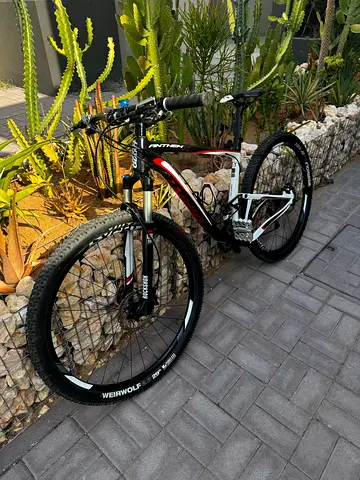 Giant Anthem x29 Maestro 4.0 Large MTB