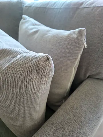 Set of Two Cushion with cover
