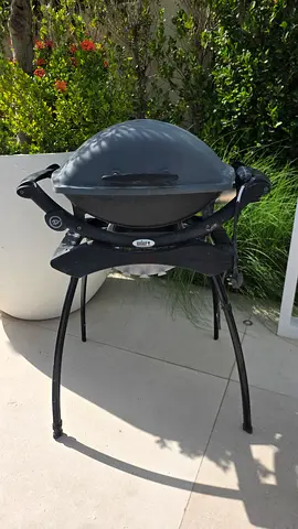 Electric Grill