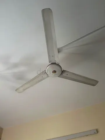 Pak Fan (Ceiling)
