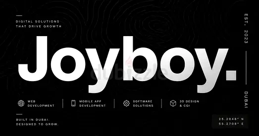 Joyboy Digital Solutions for Business Growth