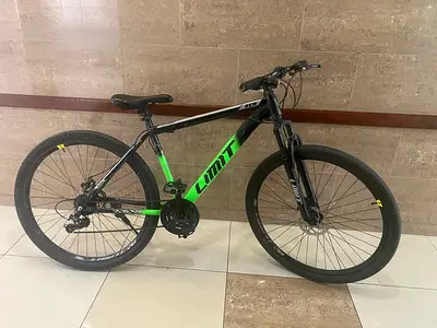 29” Bicycle (limit)