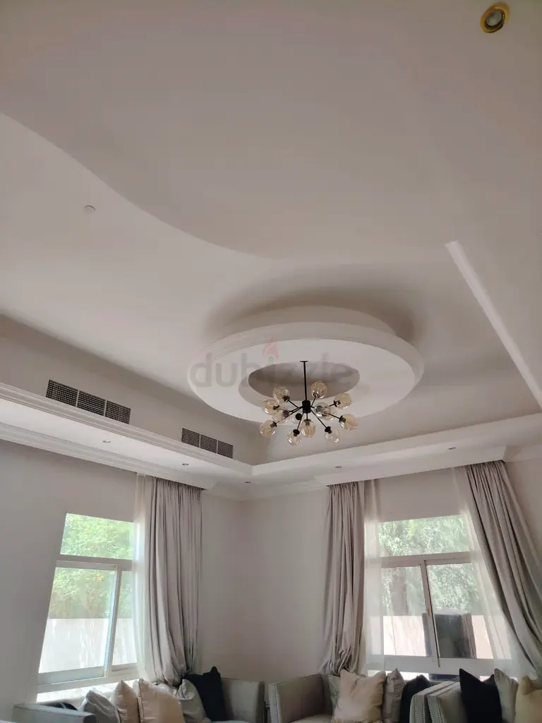 DPV_View_Image_1