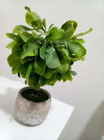 Artificial potted plant in decorative ceramic pot