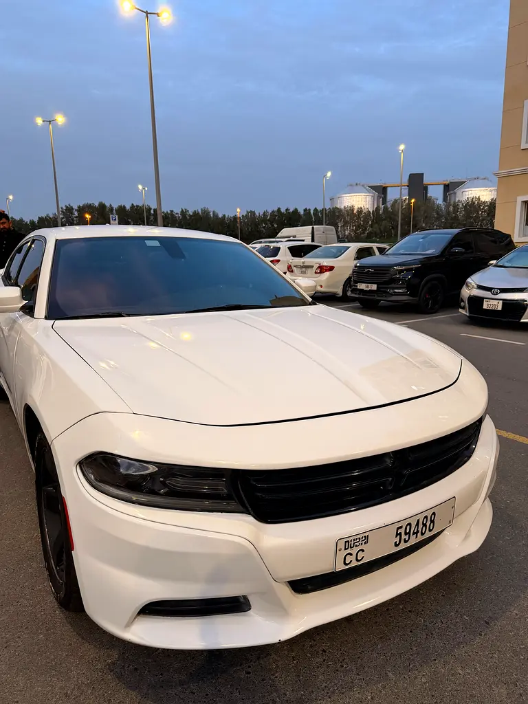 Dodge Charger 2016 — photo 1 of 10