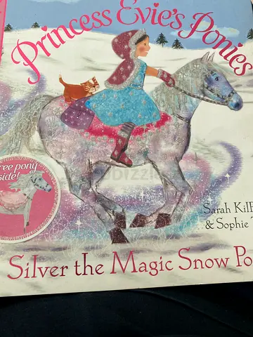 Princess Evies Ponies: Silver the Magic Snow Pony