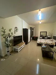 For sale in Ajman: Studio apartment, 285 sq ft, furnished and with parking, 600 sq ft, Horizon Tower