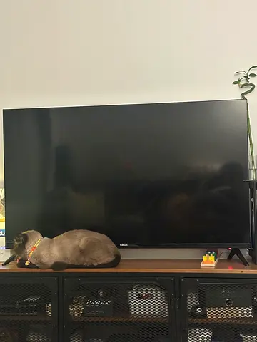 Digital TV