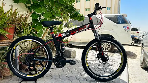 Folding bike24