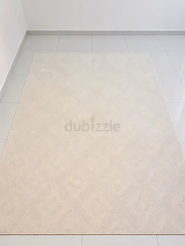 Light Beige Modern Area Rug - Flawless Condition