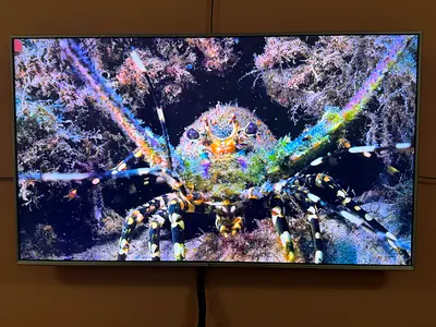 LG 55 4K Ultra HD Smart TV, Model No. 55UJ651V
