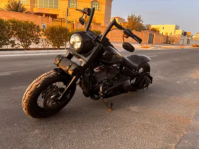 2023 Harley-Davidson Softtail Heritage