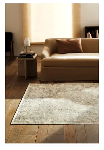 Light neutral vintage modern area rug