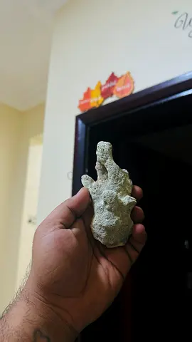 Small fossilized coral / rock specimen - natural piece
