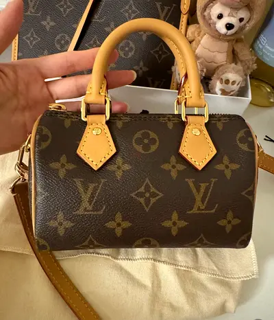 Louis Vuitton LV Speedy Nano shoulder bag