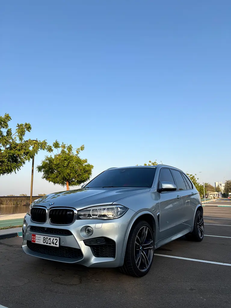 BMW X5 2016 — photo 1 of 16