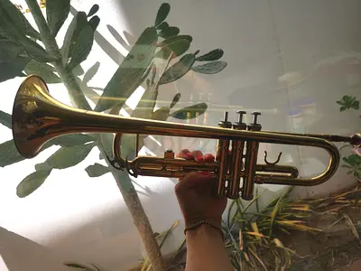 Trumpet  (missing piece to replace). Mouthpieces and lade included