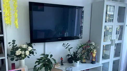 Panasonic 50 Inch TV with CHROME CAST