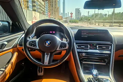 2020 BMW 8-SERIES 照片 10