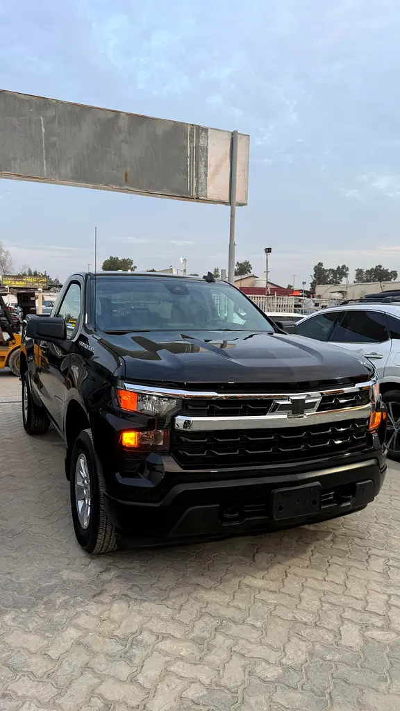 Chevrolet Silverado 1500 2024 — photo 1 of 14