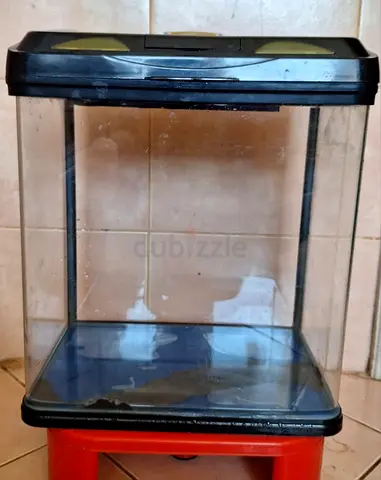 Fish tank accessories
