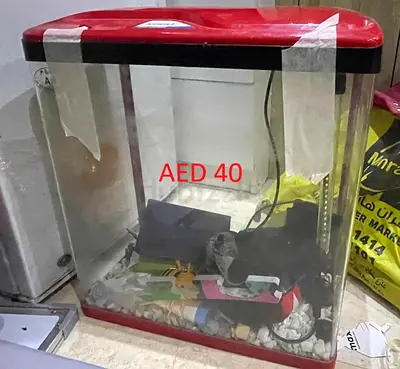 Small Red Fish Aquarium Tank with Lid — Used, AED 40