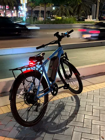 New Rohan Wings Electric Bike
