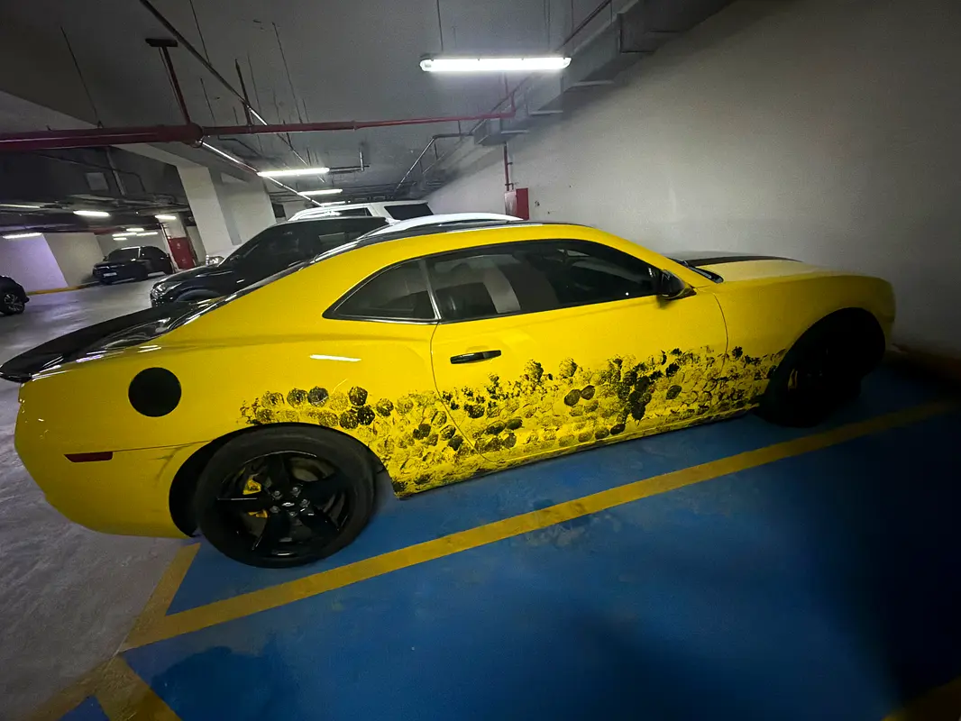 Chevrolet Camaro 2011 — photo 1 of 10