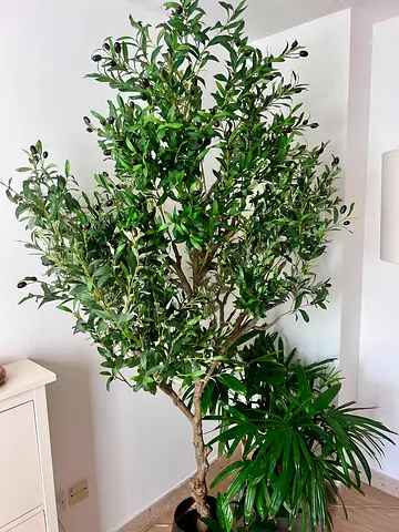Artificial olive tree - home kode