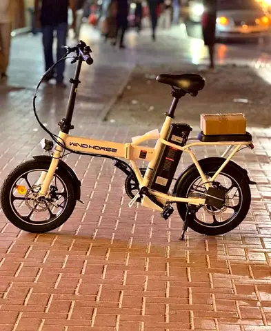 Windhorse W2A  Electric Bike