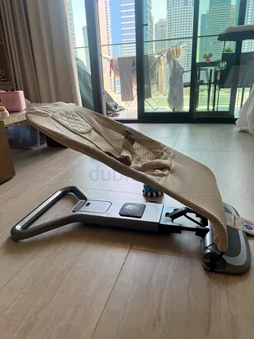 Ergobaby Baby Bouncer