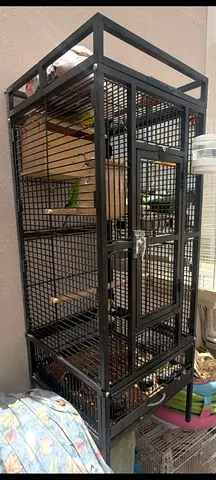 Birds cage
