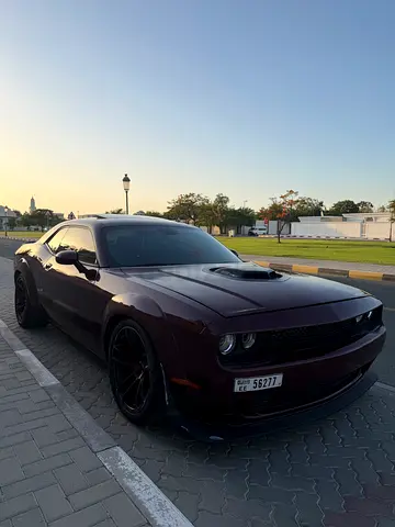 Dodge Challenger SRT8 392 Scat Pack Shaker 2017 - American Specs