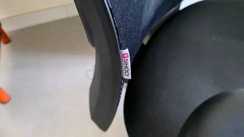 Ergonomic Lumbar Support Back Cushion (Sihoo) - Used