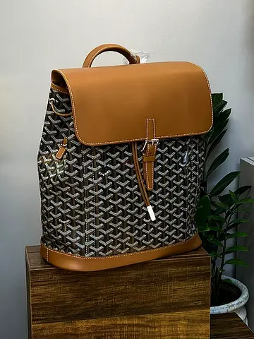 Goyard Alpin MM backpack