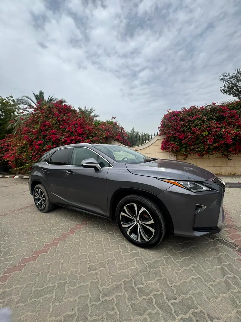 Lexus RX-Series 2019 — photo 1 of 20