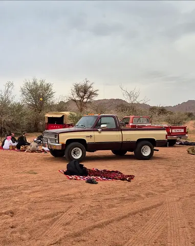 1982 Chevrolet Pickup 1500 Classic American Spec - Excellent Condition